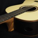 Teräakielinen kitara