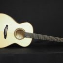 Teräskielinen kitara