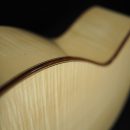 Teräskielinen kitara